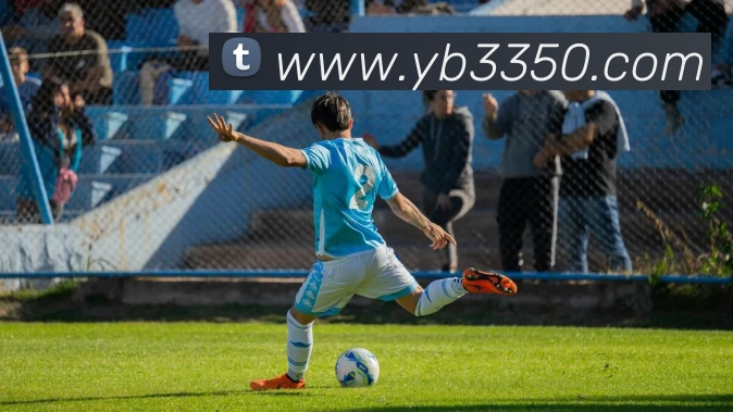 yabo体育平台官网入口发展历程